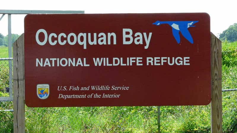 Occoquan Bay National Wildlife Refuge